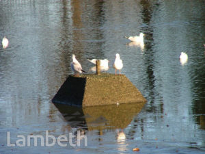 BROCKWELL PARK: RENOVATION OF THE TOP POND