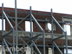 SOUTH LONDON HOSPITAL REDEVELOPMENT