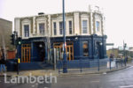THE BLUEBOTTLE ...