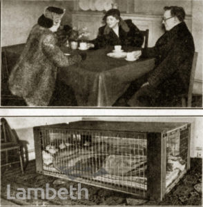 MORRISON SHELTER: WORLD WAR II