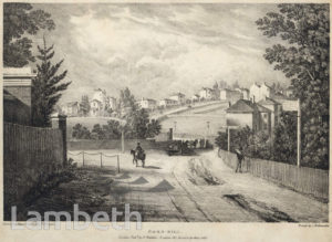 HERNE HILL VIEW