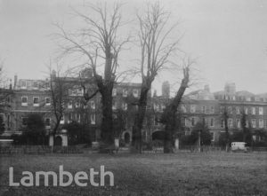 CAPTAIN COOK'S TREES, CLAPHAM COMMON NORTH SIDE