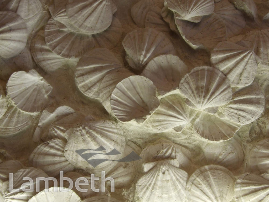 FOSSILIZED SHELLS, FESTIVAL HALL, SOUTH BANK