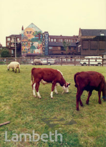 VAUXHALL CITY FARM, VAUXHALL