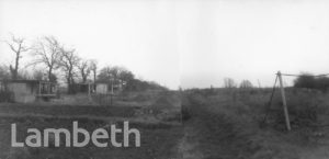 ALLOTMENTS, KNIGHTS HILL, TULSE HILL