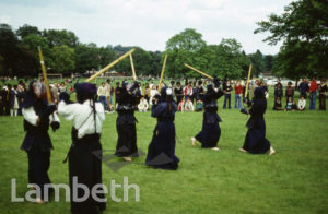 MARTIAL ARTS, FESTIVAL OF SPORT, BROCKWELL PARK