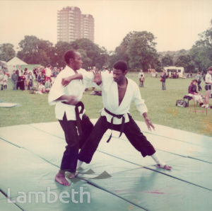 MARTIAL ARTS, FESTIVAL OF SPORTS, BROCKWELL PARK, HERNE HILL