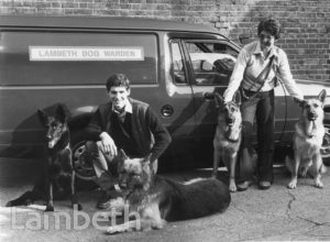 LAMBETH LAMBETH COUNCIL DOG WARDENS