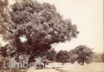 BROCKWELL PARK,...