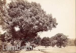 BROCKWELL PARK, HERNE HILL