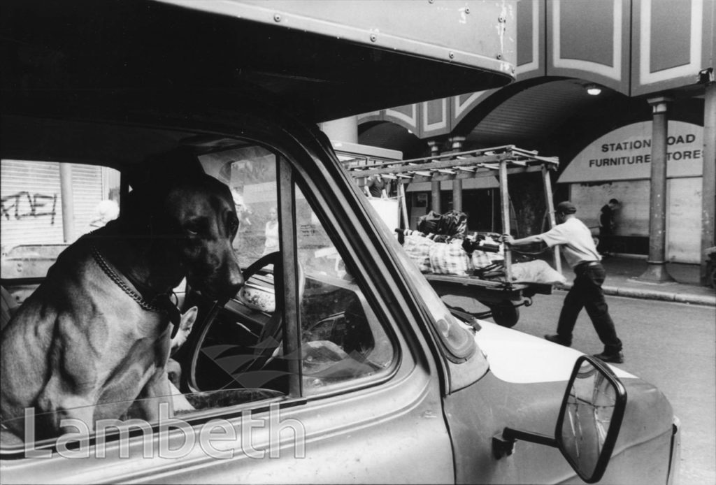 DOG IN VAN, ELECTRIC AVENUE, BRIXTON