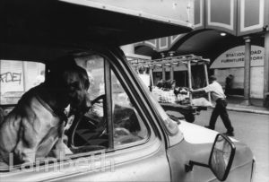 DOG IN VAN, ELECTRIC AVENUE, BRIXTON