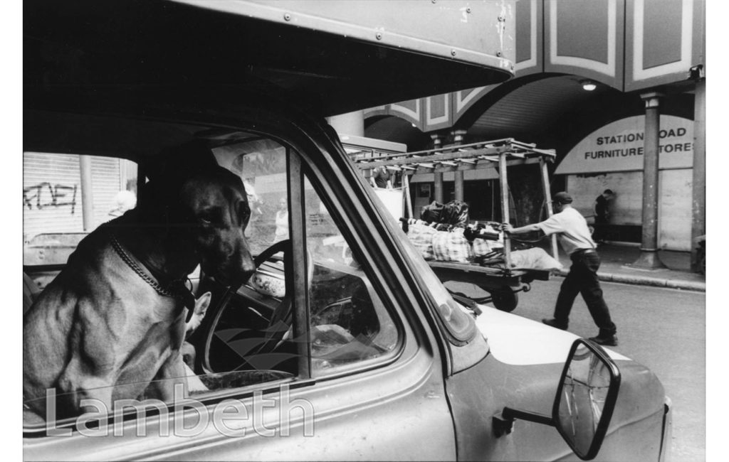 DOG IN VAN, ELECTRIC AVENUE, BRIXTON