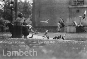 FEEDING PIGEONS, ST MATTHEW'S GARDENS, BRIXTON