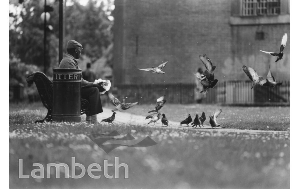 FEEDING PIGEONS, ST MATTHEW’S GARDENS, BRIXTON