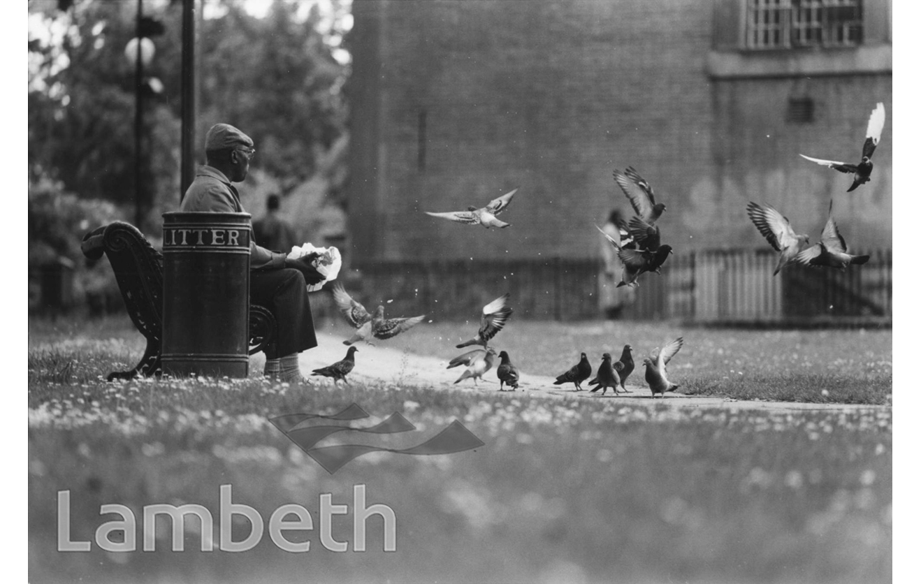 FEEDING PIGEONS, ST MATTHEW’S GARDENS, BR