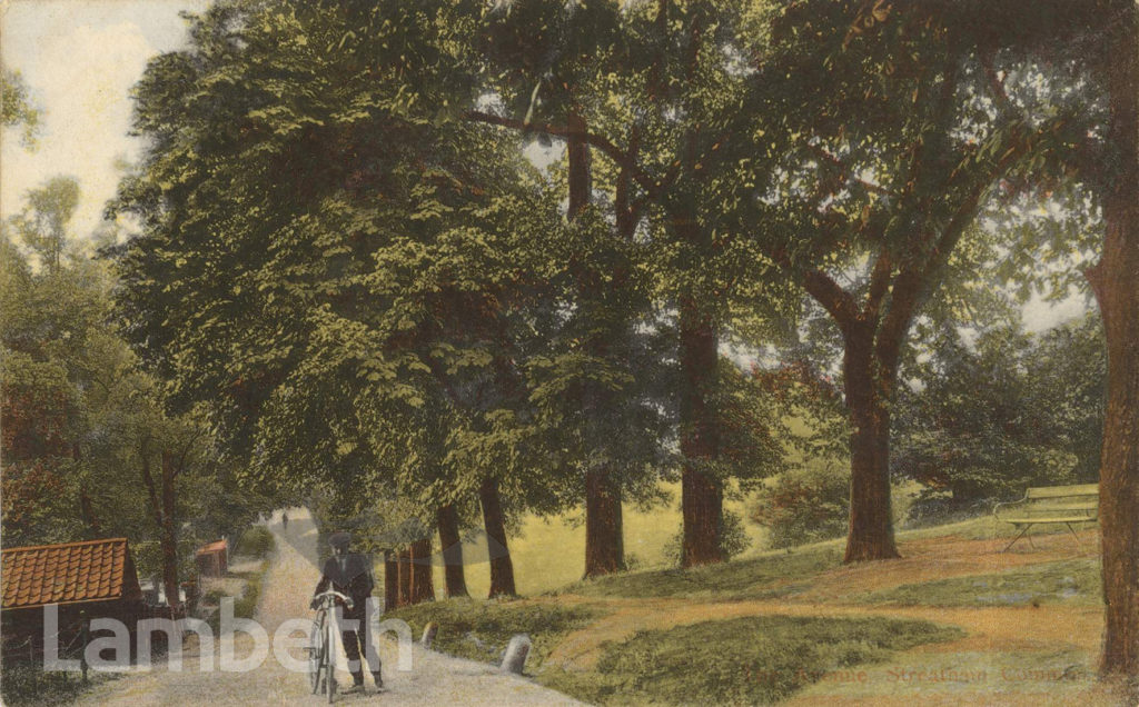 THE AVENUE, STREATHAM COMMON