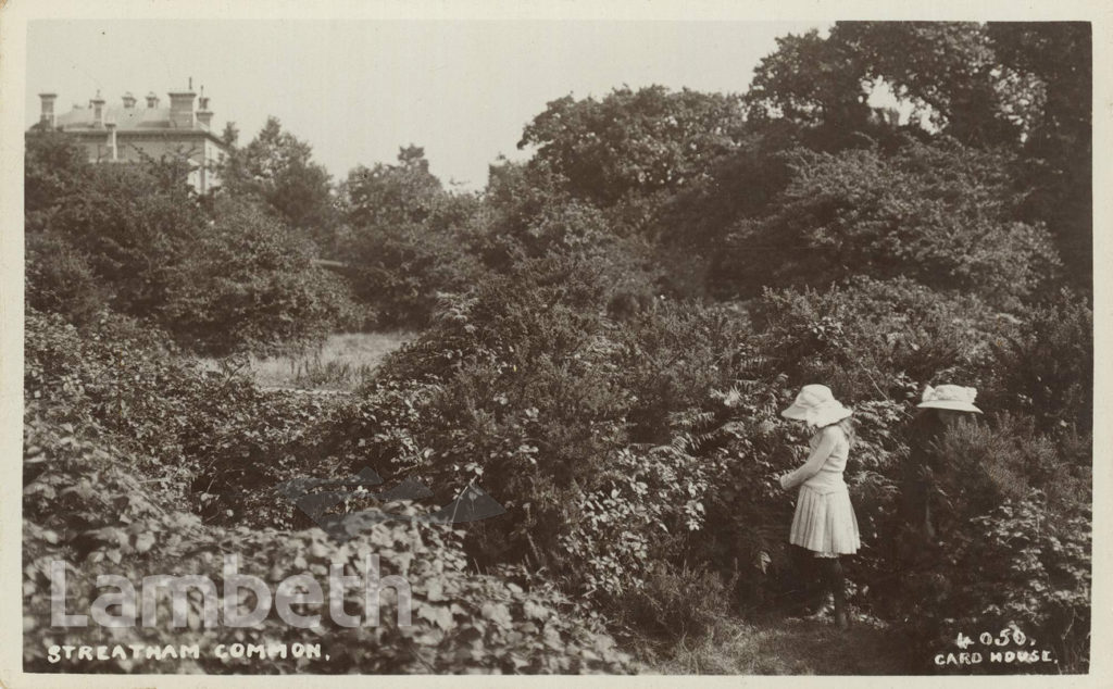 BLACKBERRYING ON STREATHAM COMMON