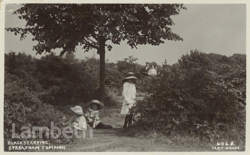 BLACKBERRYING ON STREATHAM COMMON