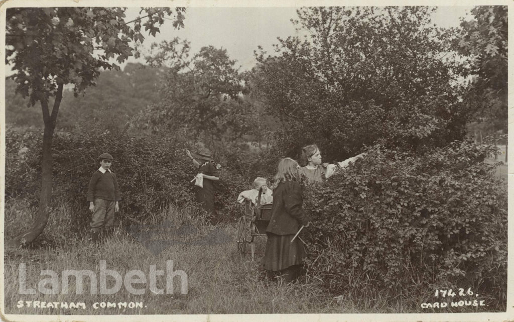 CHILDREN BLACKBERRYING ON STREATHAM COMMON