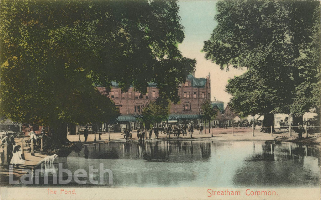 THE POND, STREATHAM COMMON