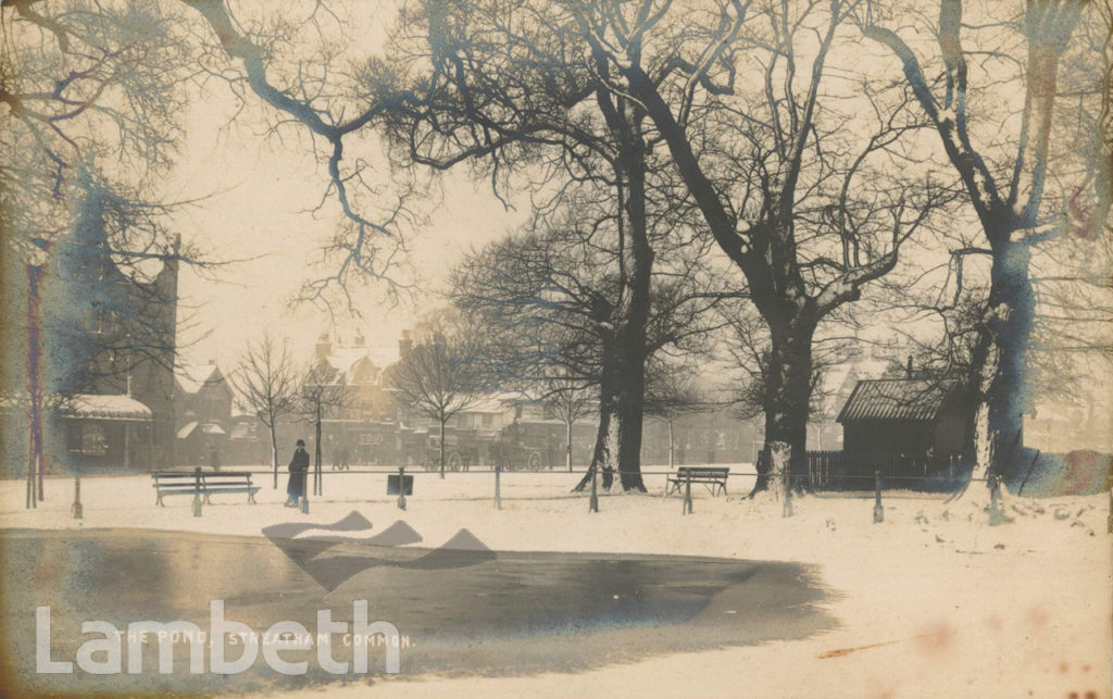 THE POND, STREATHAM COMMON