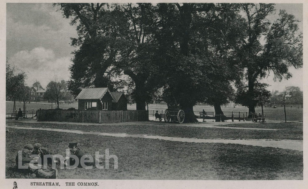 THE POND, STREATHAM COMMON