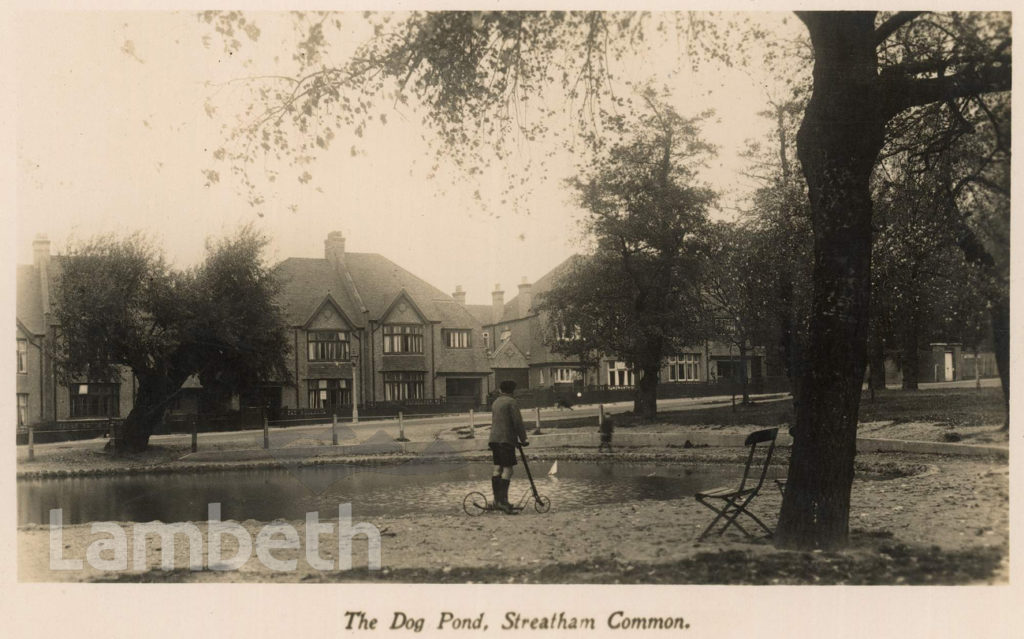 THE DOG POND, STREATHAM COMMON