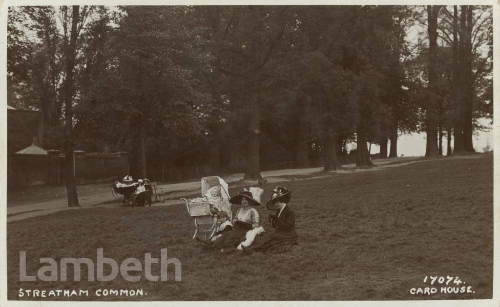 LADIES ON STREATHAM COMMON