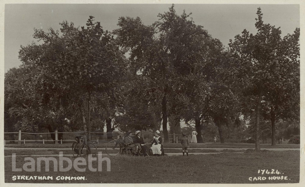 LADIES ON STREATHAM COMMON