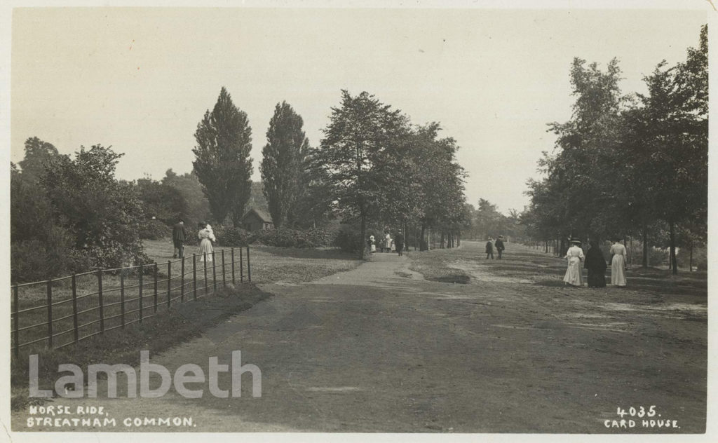 THE HORSE RIDE, STREATHAM COMMON