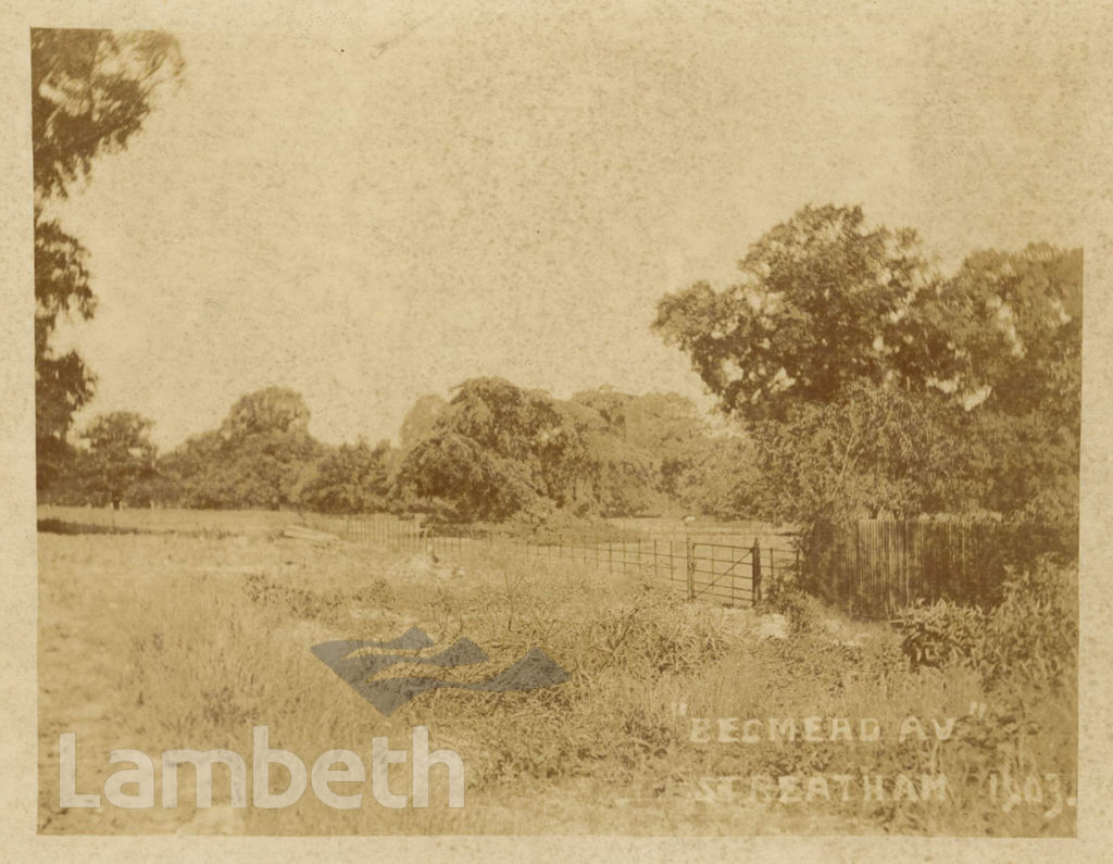 BECKMEAD AVENUE SITE, STREATHAM