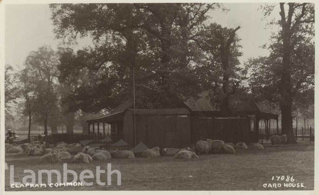 REFRESHMENT PAVILION & SHEEP, CLAPHAM COMMON