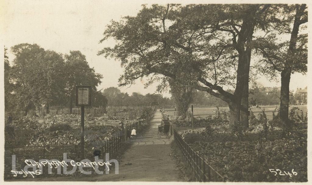 ALLOTMENTS, CLAPHAM COMMON