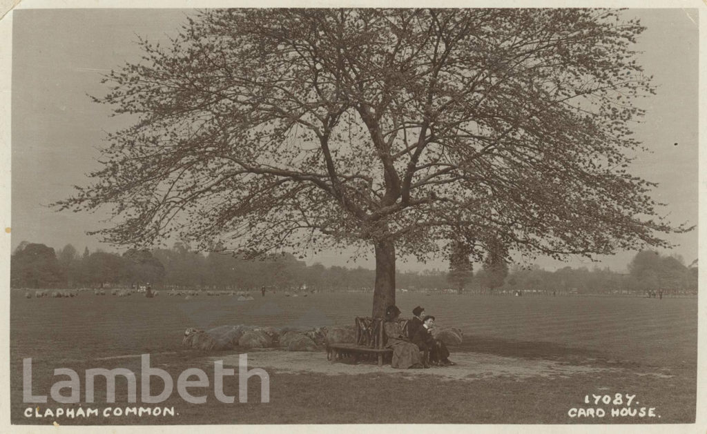 TREE SEAT, CLAPHAM COMMON