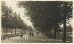 AVENUE, CLAPHAM...