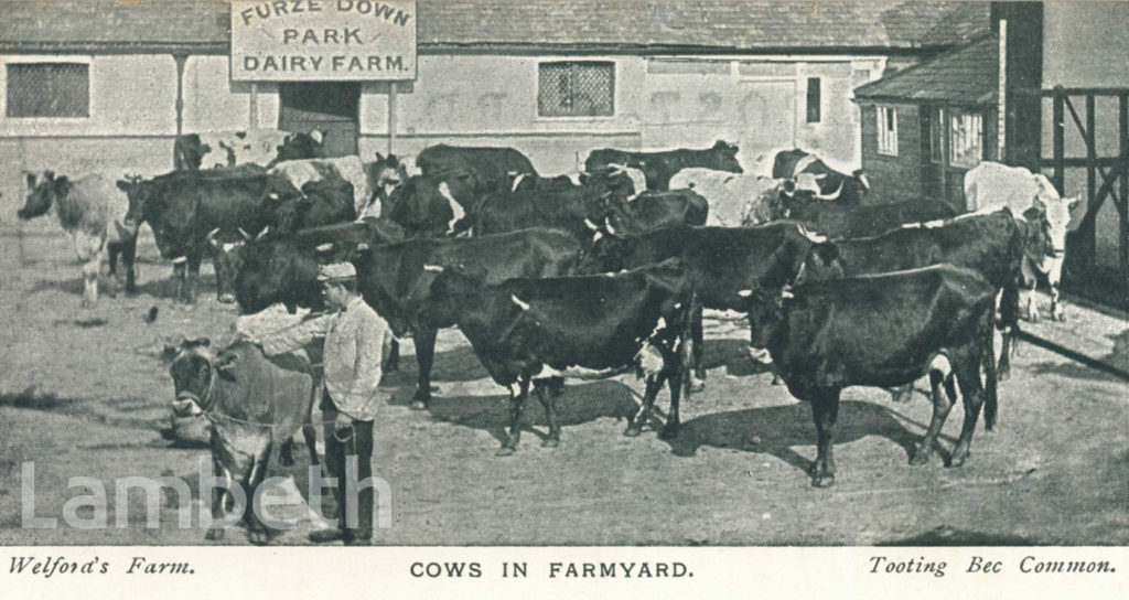 WELFORD’S FARM, TOOTING BEC COMMON