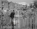 BACK GARDEN, 67...