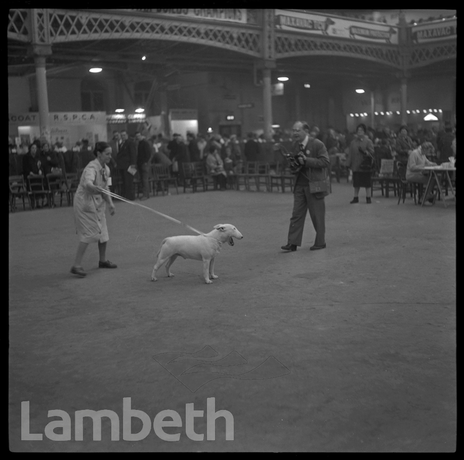 CRUFTS SHOW RING, OLYMPIA