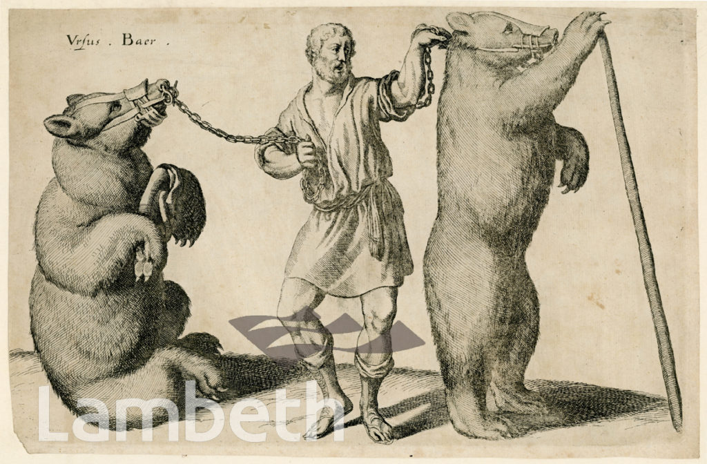 DANCING BEARS PERFORMING