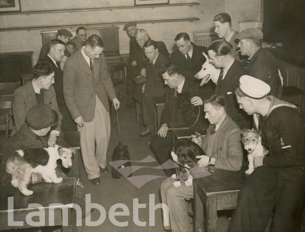 DOG CLASS, WALWORTH MEN’S INSTITUTE, AVENUE SCHOOL, CAMBERWELL