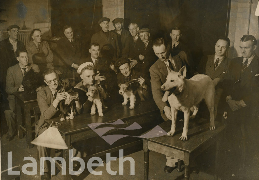 DOG CLASS, WALWORTH MEN’S INSTITUTE, AVENUE SCHOOL, CAMBERWELL