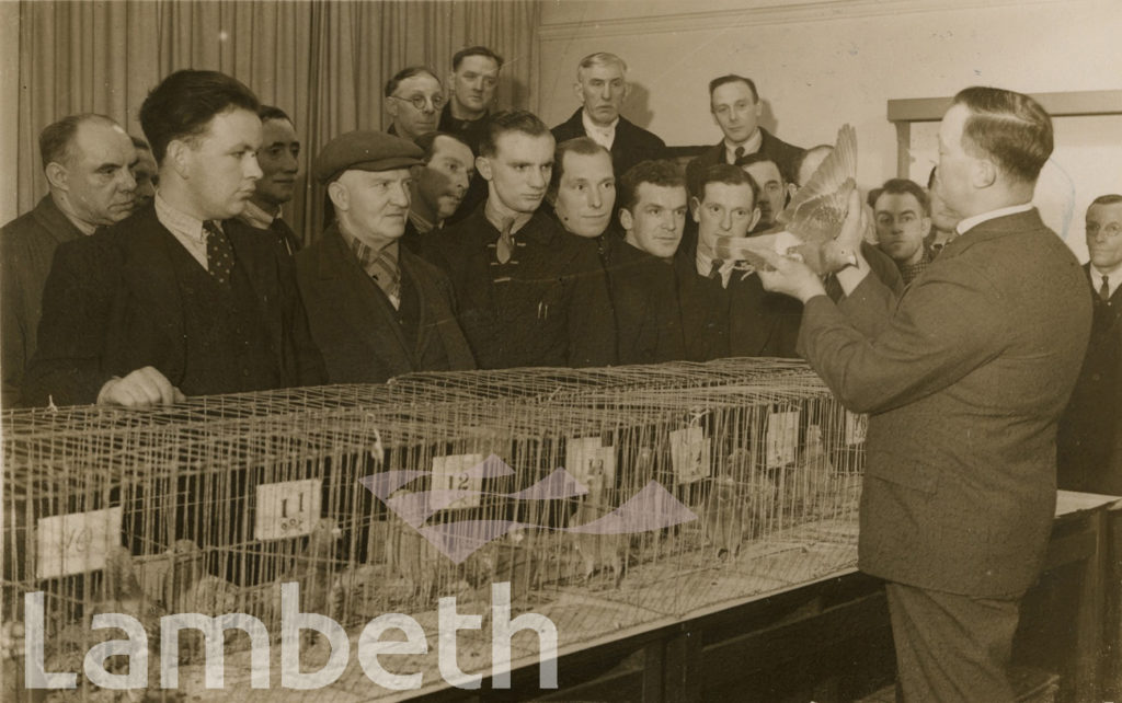 PIGEON FANCIERS’ CLASS, WALWORTH MEN’S INSTITUTE, AVENUE SCHOOL, CAMBERWELL