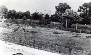 Ladywell Fields from Railway Terrace