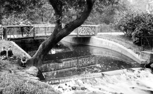 Ladywell Recreation Ground Showing The Rustic Bridge & Waterfall