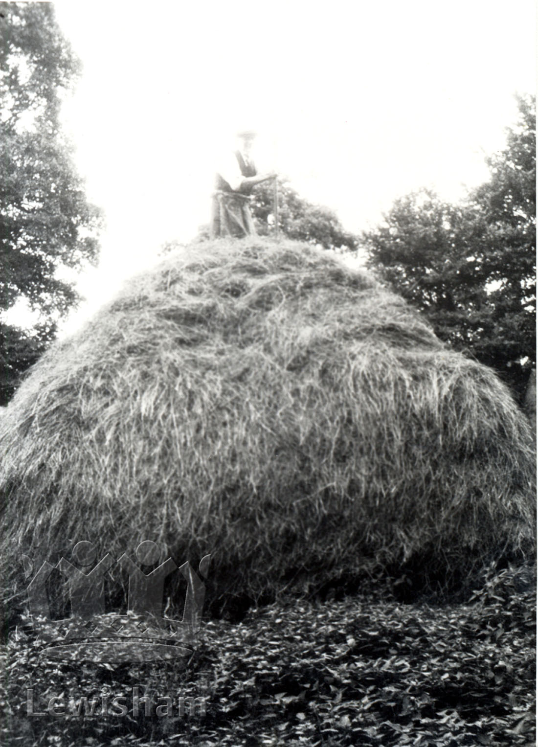 Hope Farm Lewisham Borough PhotosLewisham Borough Photos