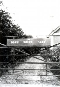 The Gate of Down Drive Farm