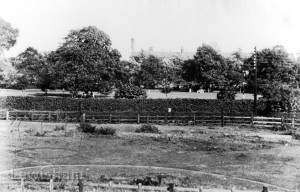 Ladywell Fields Looking Towards Rear Of Lewisham Hospital