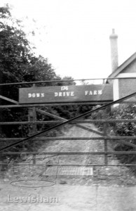 Entrance Gate To Down Drive Farm