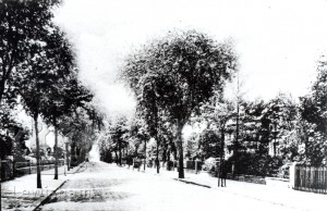 Trewsbury Road